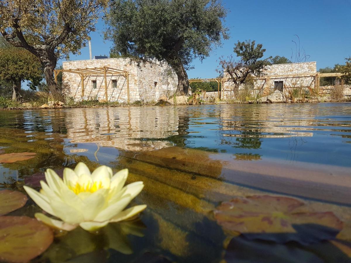 Il Fiore Della Vita Trulli Country House Conversano Exteriör bild