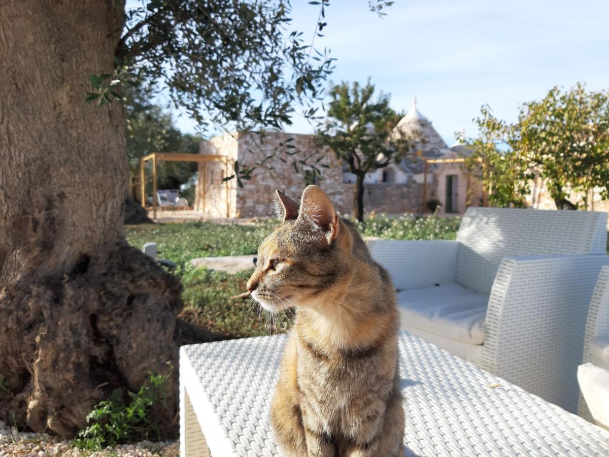 Il Fiore Della Vita Trulli Country House Conversano Exteriör bild
