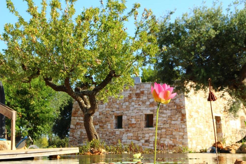 Il Fiore Della Vita Trulli Country House Conversano Exteriör bild
